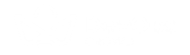 DevOps Crowd - The all-in-one product team for Shopify merchants. We handle the tech, you grow your store.